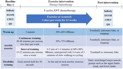 Improving physical and mental health in women with breast cancer undergoing anthracycline-based chemotherapy through wearable device-based aerobic exercise: a randomized controlled trial